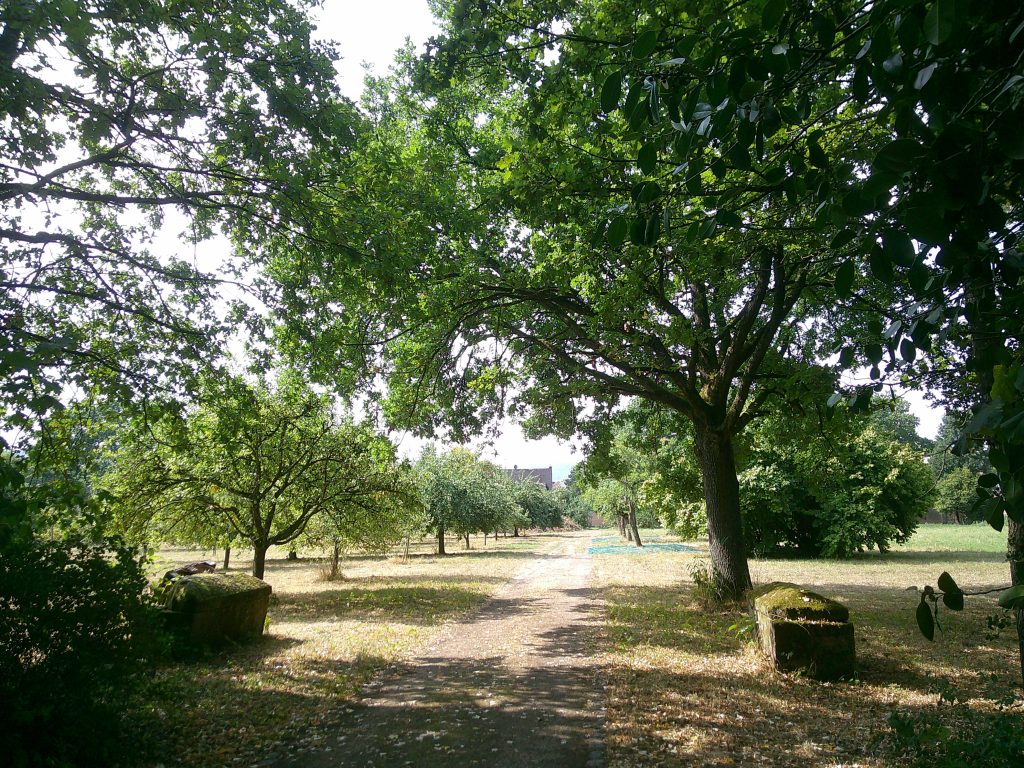 Klosterhof St. Matthias